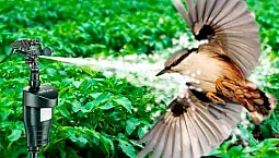 15 mejores ahuyentadores de pájaros