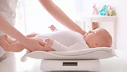 5つの最高のベビースケール