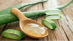 10 geriausių alavijo gelių