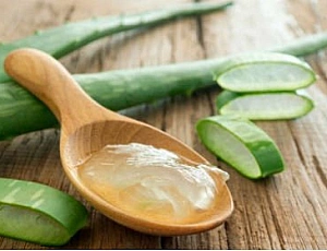 10 nejlepších gelů z aloe