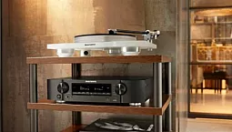 5 במות הפונו הטובות ביותר