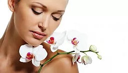 20 labākie ķermeņa krēmi