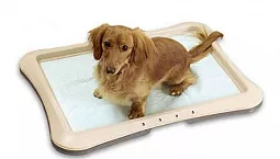 Topp 5 hundblöjtillverkare