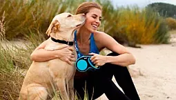 10 Jenama Pita Anjing Terbaik