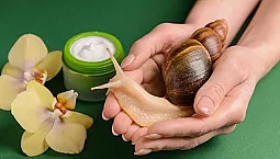 10最高のカタツムリクリーム