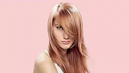 5টি সেরা এস্টেল শ্যাম্পু