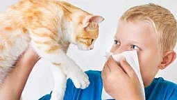 10 melhores anti-histamínicos para crianças