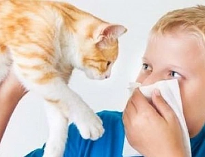 10 legjobb antihisztamin gyerekeknek