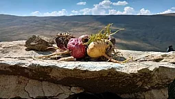 10 meilleures préparations de Maca péruvienne avec iHerb