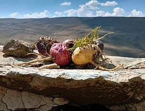 10 meilleures préparations de Maca péruvienne avec iHerb