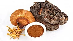 أفضل 10 مكملات عيش الغراب في iHerb