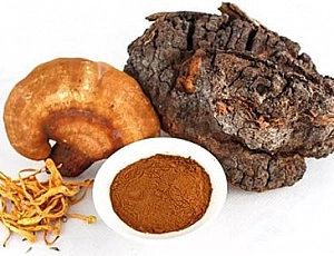10 meilleurs suppléments de champignons sur iHerb