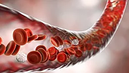 20 bästa läkemedel för blodkärl på iHerb