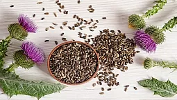 10 meilleurs suppléments de chardon-Marie sur iHerb