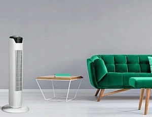 15 migliori fan della colonna