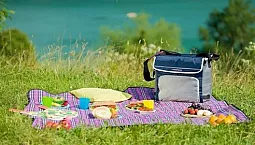 أفضل 20 كيس تبريد لعام 2020