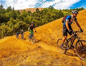 Las 10 mejores bicicletas de montaña por precio y calidad