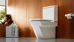 أفضل 15 مرحاضًا قائمًا على الأرض