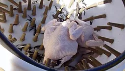 10 meilleures machines de cueillette