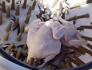 10 nejlepších sběracích strojů
