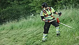 10 beste Gastrimmer unter 5000 Rubel