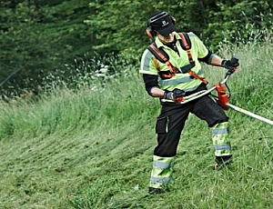 10 nejlepších plynových zastřihovačů pod 5000 rublů