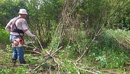 أقوى 10 قادين للعشب