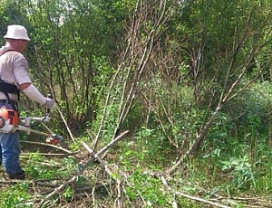 10 nejvýkonnějších sekaček na trávu