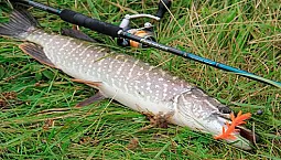 10 најбољих штапова за штуку