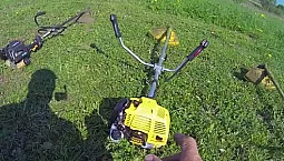 أفضل 5 قادين للعلامة التجارية Champion