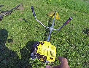 Top 5 Champion brand trimmers