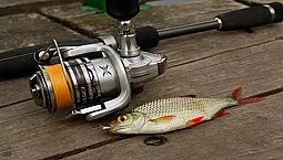 10 bästa spinnspön för mikrojigg