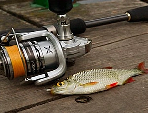 10 najlepszych spinningów do micro jig