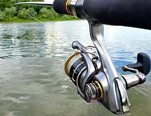 শীর্ষ 5 Daiwa রিল