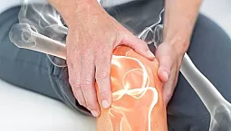 15 מגני הכונדרופוטקטורים הטובים ביותר למפרקים