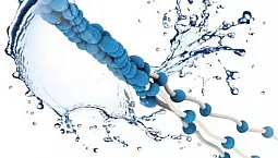 A 10 legjobb tengeri kollagén termék