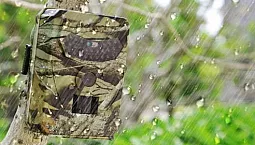 5 best camera traps from Aliexpress