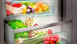 10 meilleurs réfrigérateurs avec une zone de fraîcheur