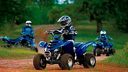 10 φθηνότερα τετράποδα