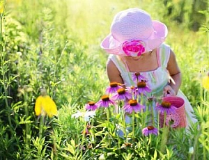 A 10 legjobb Echinacea termék gyerekeknek az iHerbnél