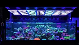 Top 10 lămpi de acvariu