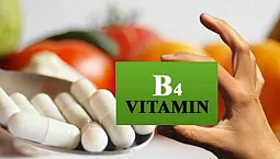 Top 5 des produits de choline sur iHerb