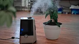 10 най-добри бюджетни овлажнители под 5000 рубли