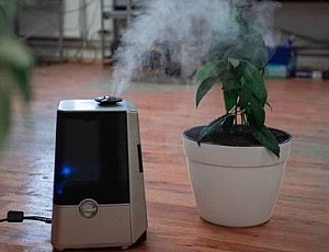 I 10 migliori umidificatori economici sotto i 5000 rubli