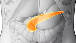 Os 10 principais medicamentos para o pâncreas