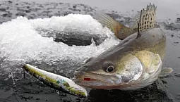 15 bästa vibbar och ratlins för gös