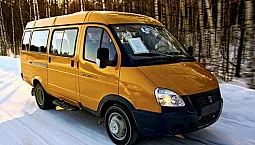 8 най-добри батерии за газела