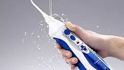 トップ10の灌漑メーカー