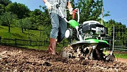 10 המיני מטפחים הטובים ביותר לבקתות הקיץ