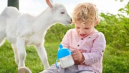 5 parimat kitsepiima segu